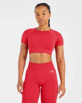 Adapt Seamless Crop Top