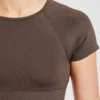 Adapt Seamless Crop Top