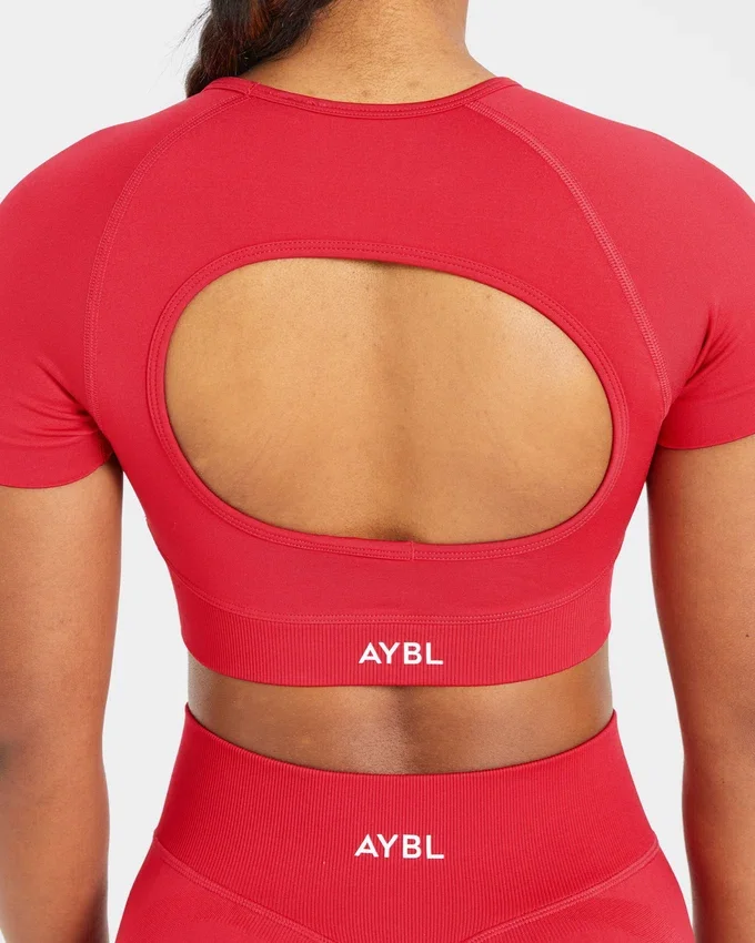 Adapt Seamless Crop Top