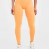Adapt Seamless Leggings