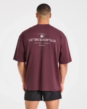 Apex Lifting Essentials Oversized T Shirt