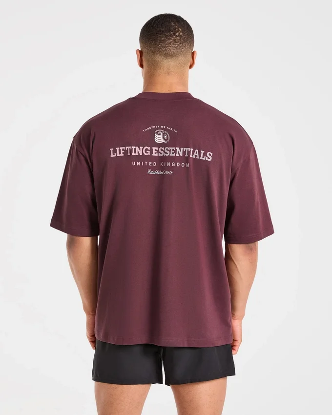 Apex Lifting Essentials Oversized T Shirt