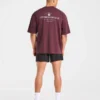 Apex Lifting Essentials Oversized T Shirt