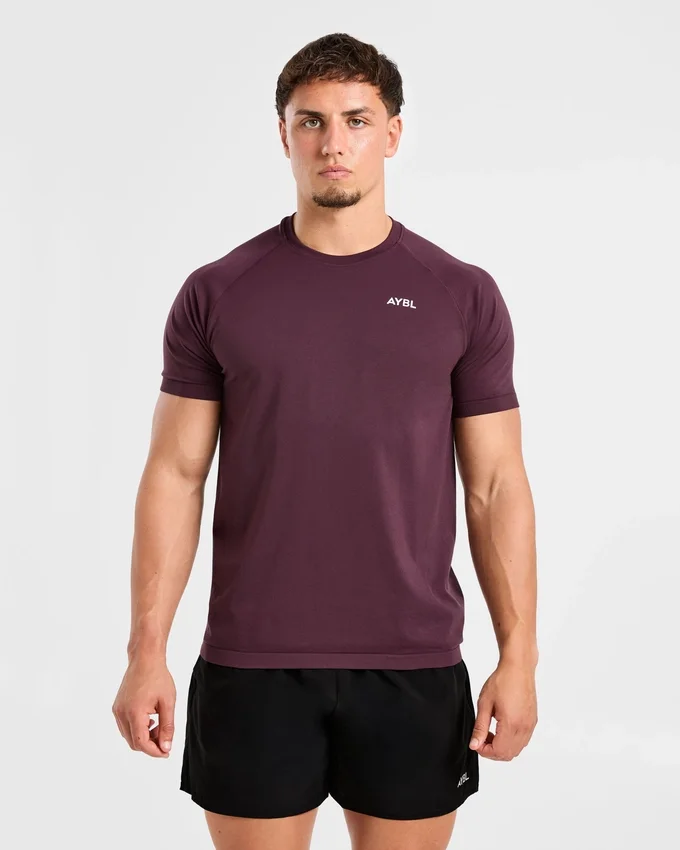 Ascend Seamless T Shirt