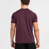 Ascend Seamless T Shirt
