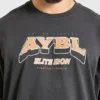 AYBL Elite Iron Oversized T Shirt