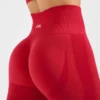 Empower Seamless Leggings